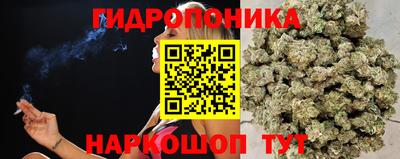 ПСИЛОЦИБИНОВЫЕ ГРИБЫ Можга