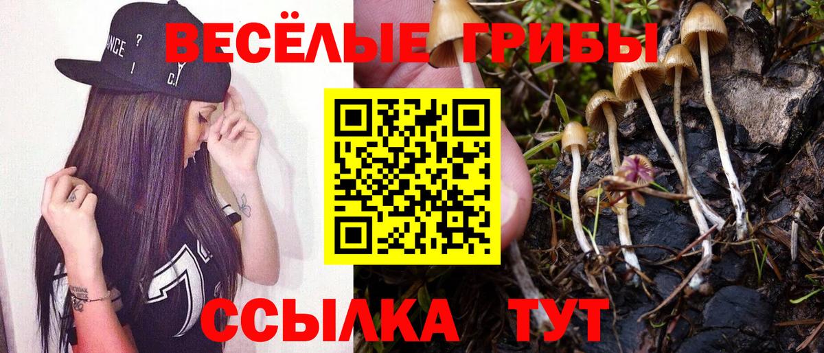 Усть-Кут  Псилоцибиновые грибы ЛСД  Вход с VPN 