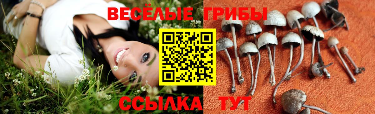 Галлюциногенные грибы мицелий Усть-Кут